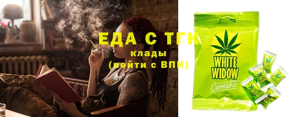 хмурый Абаза