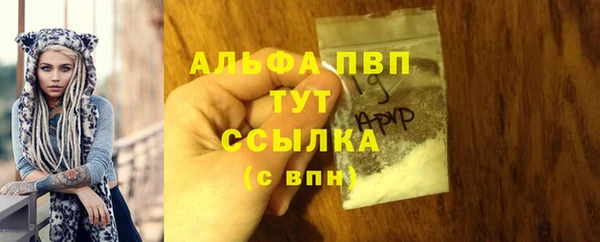 хмурый Абаза