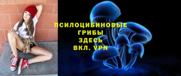 хмурый Абаза