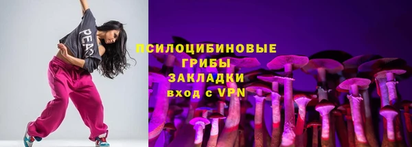 хмурый Абаза