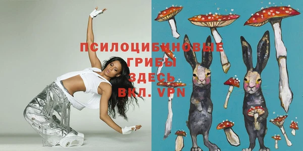 сатива Абдулино