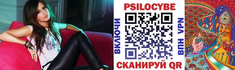 Галлюциногенные грибы Psilocybe  Саратов 